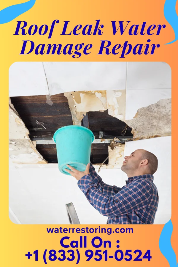 Roof Leak Water Damage Repair in Ringling, OK