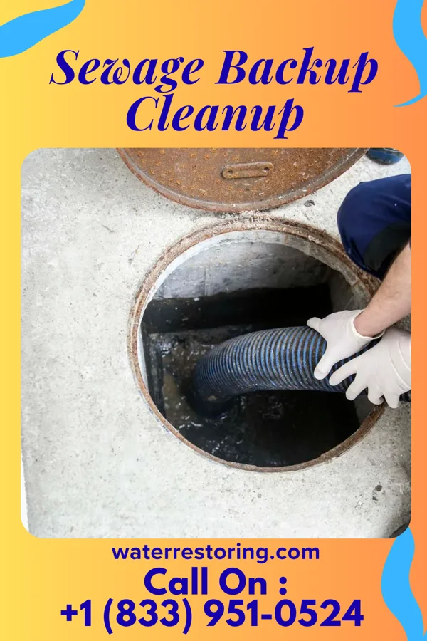 Sewage Backup Cleanup in Ringling, OK